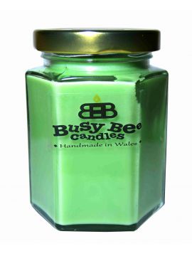 Busy Bee Candles Classic svíčka MEDIUM Vánoční tymián